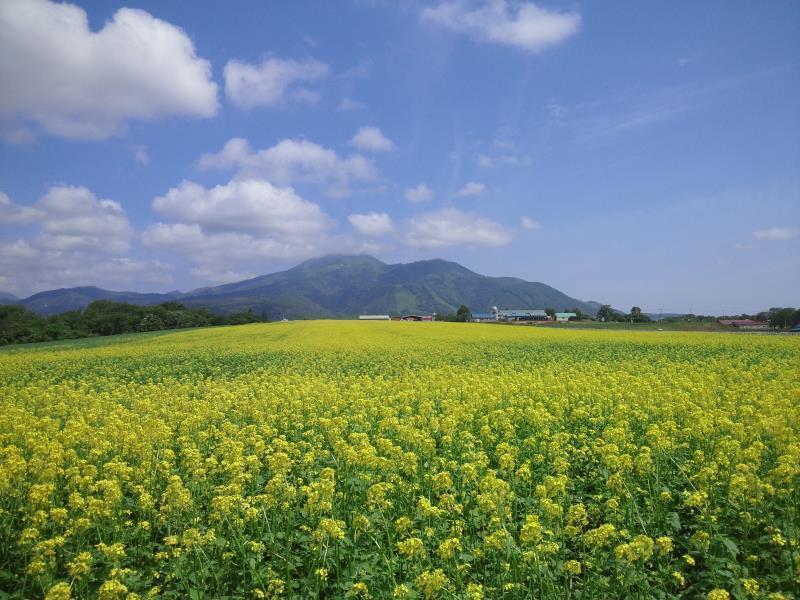 Karimpani Niseko Fujiyama Exterior foto